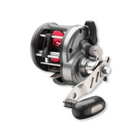 Daiwa SEALINE 30LWLA